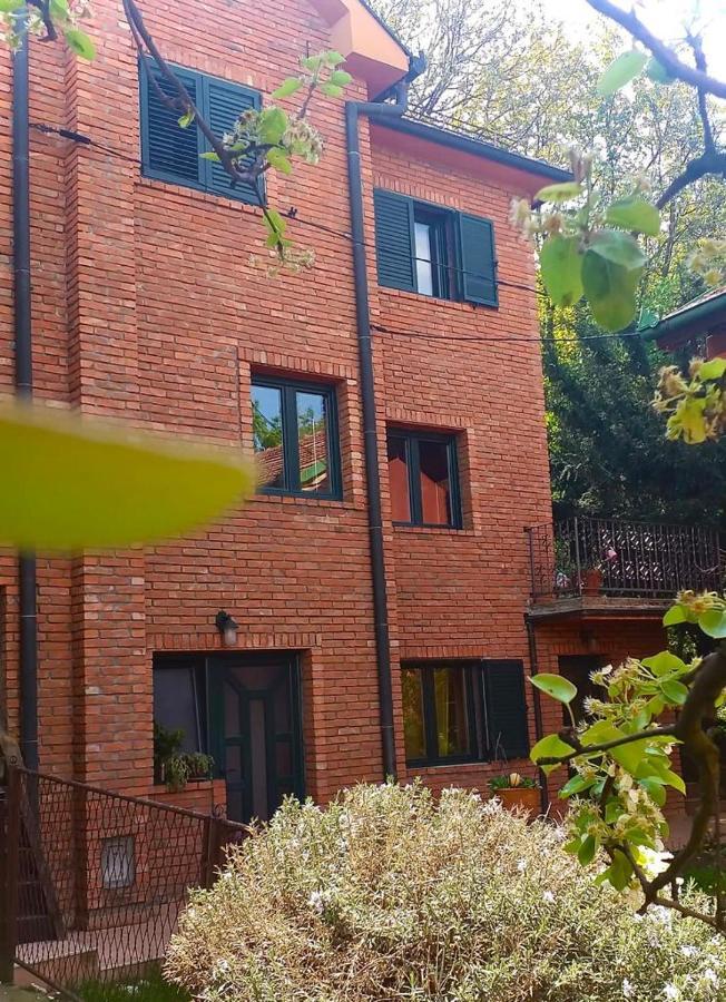 فندق Taras House بلغراد المظهر الخارجي الصورة